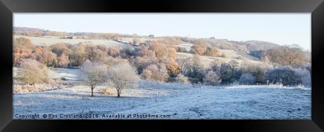Winter Beauty in the Yorkshire Countryside Framed Print by Ros Crosland