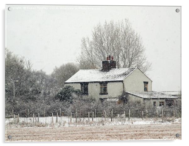 Country cottage in snow Acrylic by Susan Tinsley