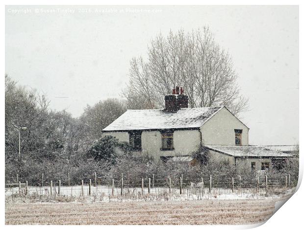 Country cottage in snow Print by Susan Tinsley