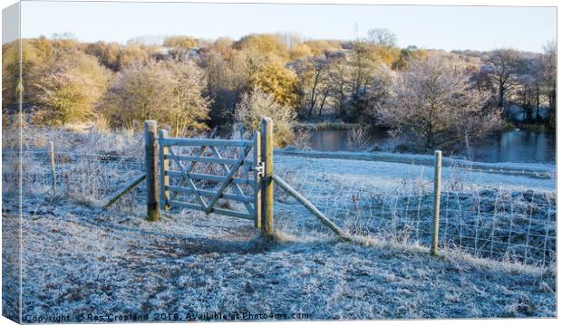 Early morning frost in the Yorkshire Countryside Canvas Print by Ros Crosland