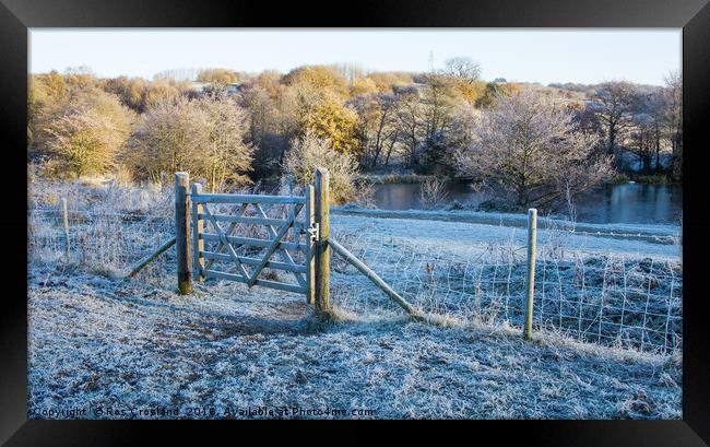 Early morning frost in the Yorkshire Countryside Framed Print by Ros Crosland