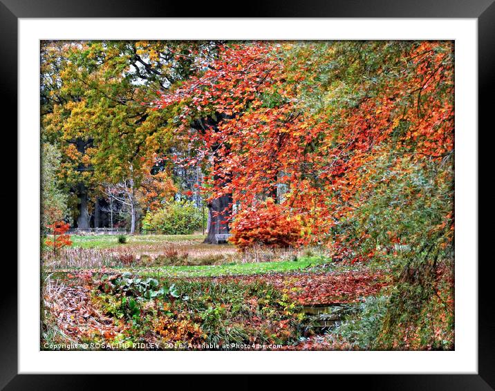 "IN AN ENGLISH AUTUMN GARDEN" Framed Mounted Print by ROS RIDLEY
