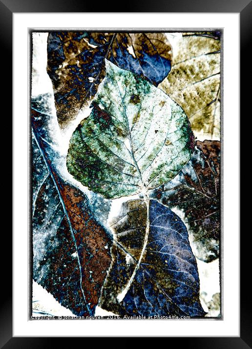 Leaves Abstract 1 Framed Mounted Print by jonathan nguyen