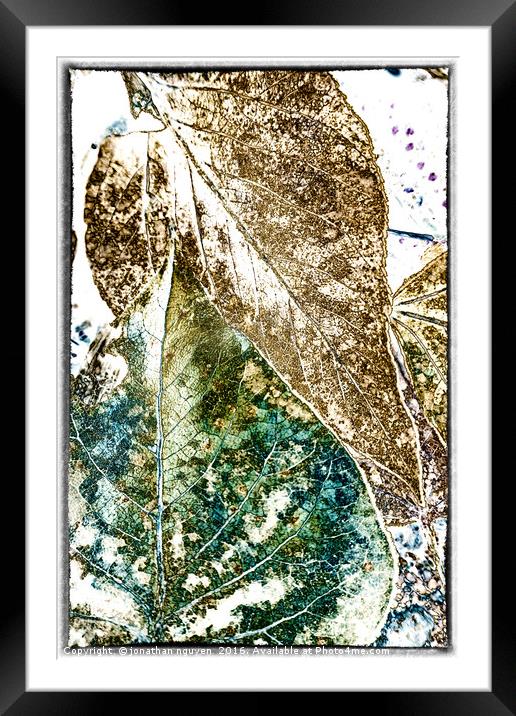 Leaves Abstract 2 Framed Mounted Print by jonathan nguyen