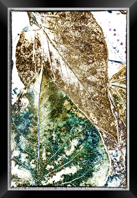 Leaves Abstract 2 Framed Print by jonathan nguyen