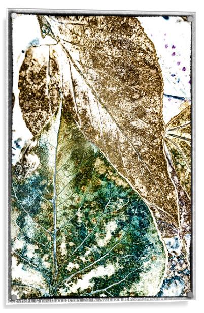Leaves Abstract 2 Acrylic by jonathan nguyen