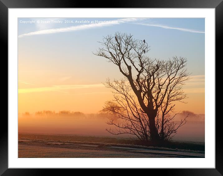 Foggy sunrise Framed Mounted Print by Susan Tinsley