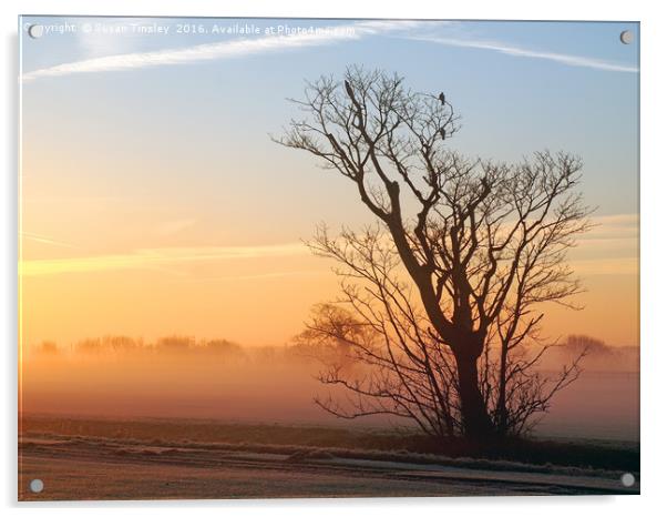 Foggy sunrise Acrylic by Susan Tinsley