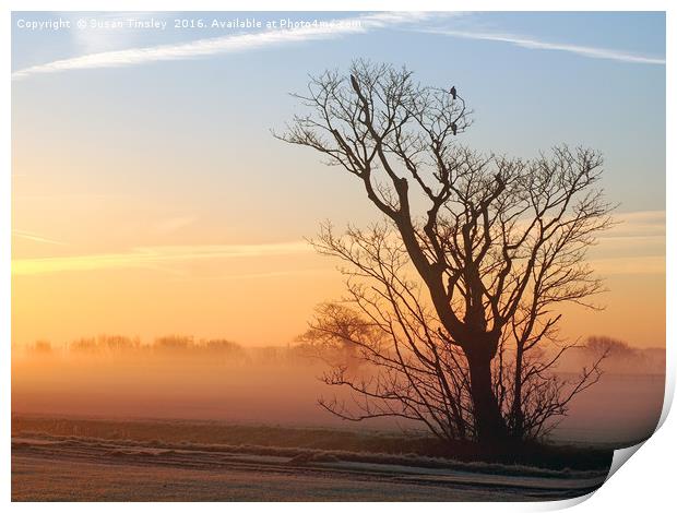 Foggy sunrise Print by Susan Tinsley