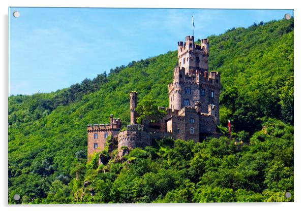 Castle Burg Sooneck Acrylic by Tom Gomez