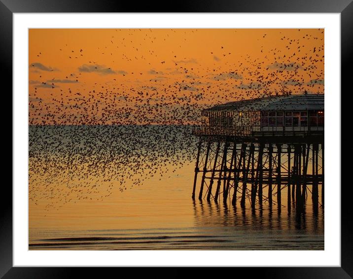 North Pier Framed Mounted Print by Victor Burnside