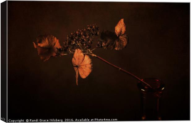 Two Flowers in One Canvas Print by Randi Grace Nilsberg