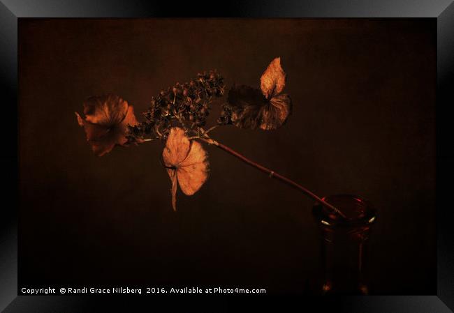 Two Flowers in One Framed Print by Randi Grace Nilsberg