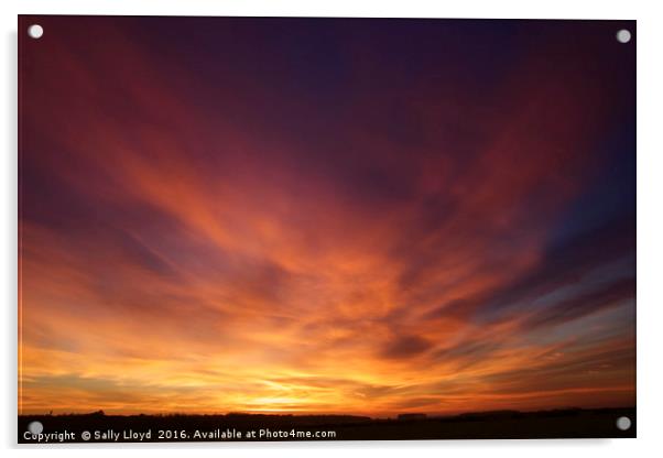Hot Norfolk Sunset Acrylic by Sally Lloyd
