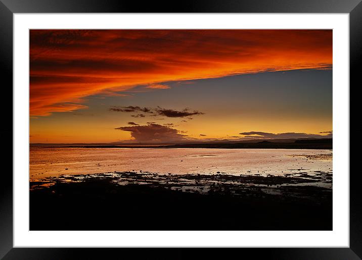 Orange Delight At Shellbay, Scotland. Framed Mounted Print by Aj’s Images