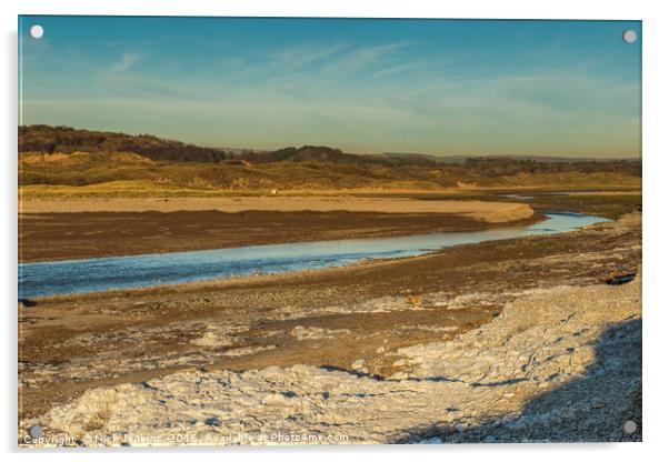 River Ogmore Estuary at Ogmore by Sea Acrylic by Nick Jenkins