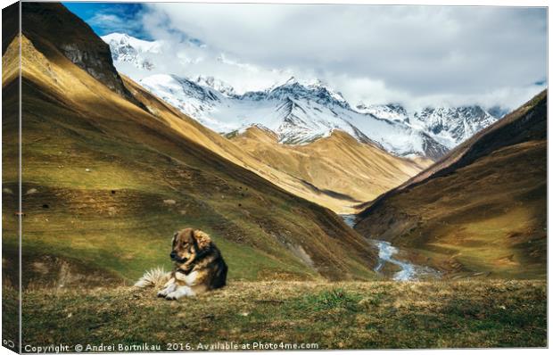 Dog against Enguri river and Shkhara mountain. Geo Canvas Print by Andrei Bortnikau