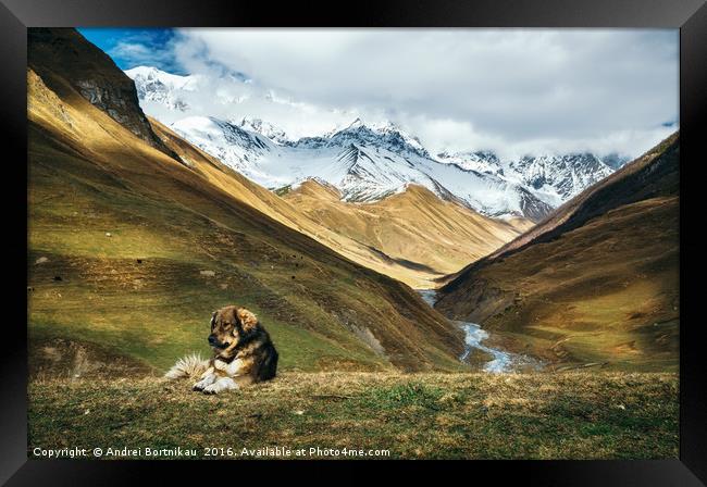 Dog against Enguri river and Shkhara mountain. Geo Framed Print by Andrei Bortnikau