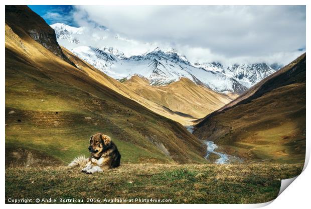 Dog against Enguri river and Shkhara mountain. Geo Print by Andrei Bortnikau