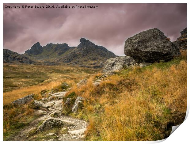 The Cobbler or Ben Arthur Print by Peter Stuart