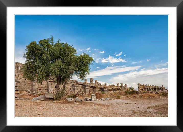 Lonely Tree at Side City Wall Ruins Framed Mounted Print by Antony McAulay