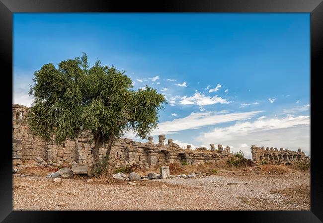 Lonely Tree at Side City Wall Ruins Framed Print by Antony McAulay