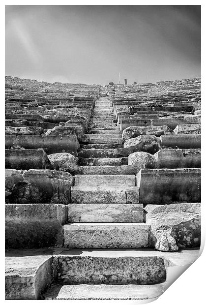 Side Amphitheatre Stairway Print by Antony McAulay