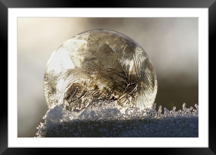 A frozen bubble  Framed Mounted Print by JC studios LRPS ARPS
