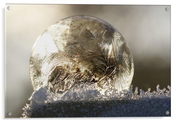A frozen bubble  Acrylic by JC studios LRPS ARPS