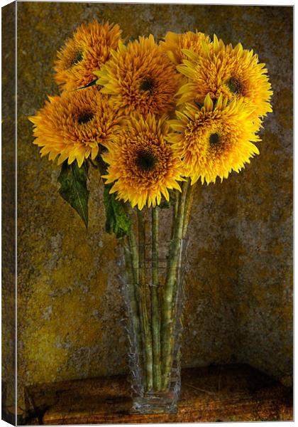 Double Sunflowers in a Glass Vase Canvas Print by Ann Garrett