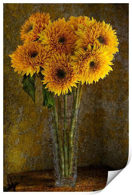 Double Sunflowers in a Glass Vase Print by Ann Garrett