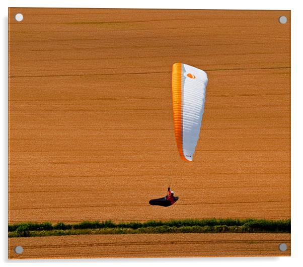 Wheat Field Paraglider Acrylic by Bel Menpes