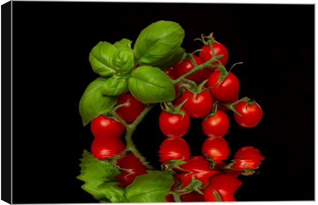 Cherry Tomatoes and Basil Canvas Print by David French