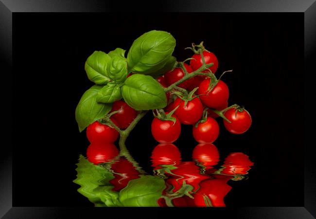 Cherry Tomatoes and Basil Framed Print by David French