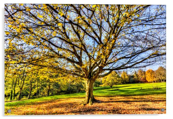 The Autumn Tree Acrylic by David Pyatt