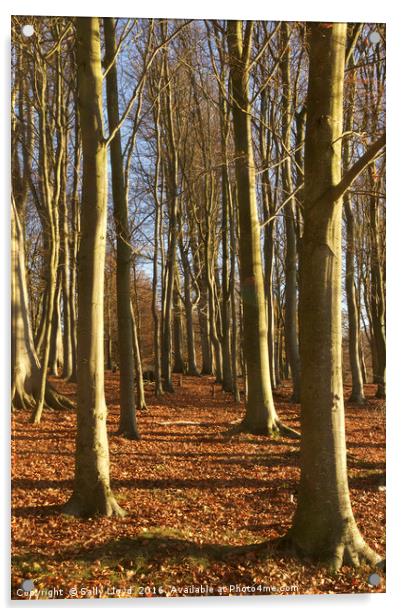 Woodland Trees Blickling Acrylic by Sally Lloyd