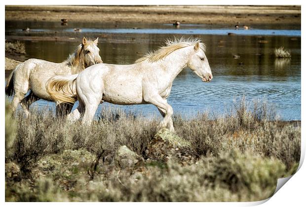 Two of a Kind Print by Belinda Greb