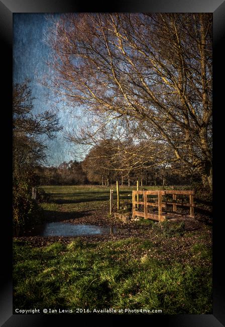 The Path To Tidmarsh Framed Print by Ian Lewis
