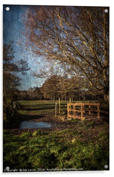 The Path To Tidmarsh Acrylic by Ian Lewis