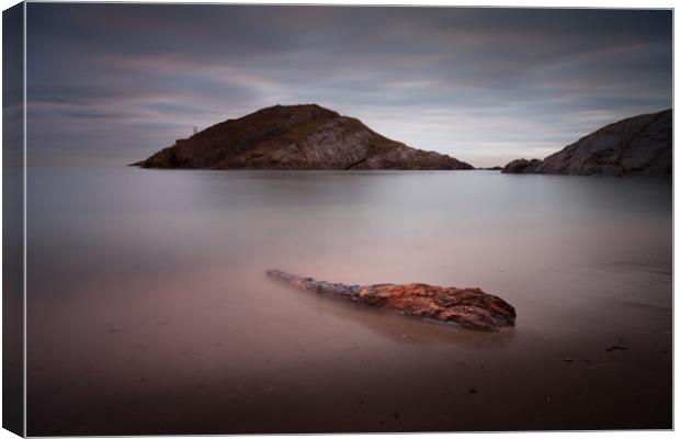 Driftwood on Mumbles beach Canvas Print by Leighton Collins
