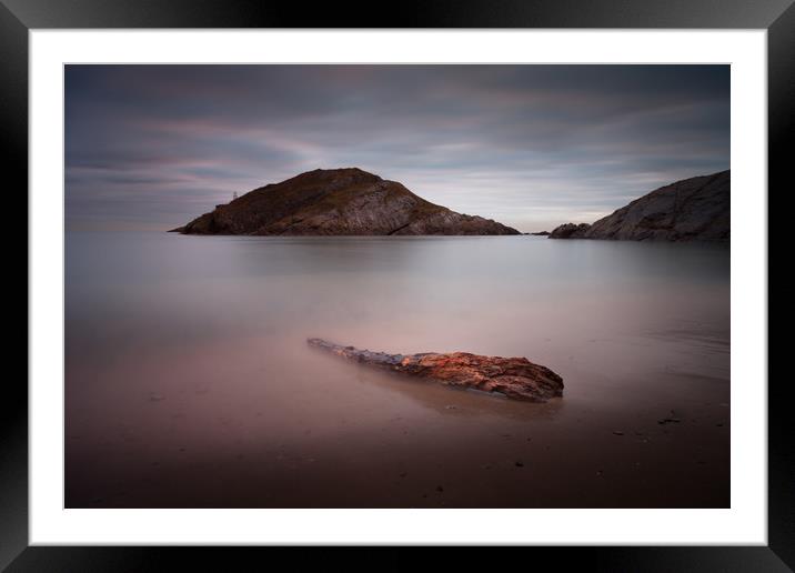 Driftwood on Mumbles beach Framed Mounted Print by Leighton Collins