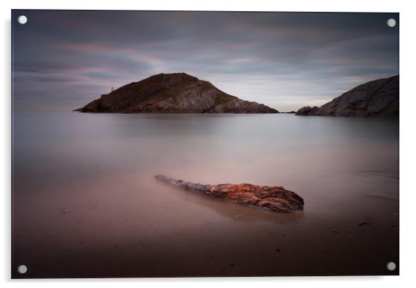 Driftwood on Mumbles beach Acrylic by Leighton Collins