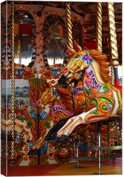 Carousel Canvas Print by Chris Day