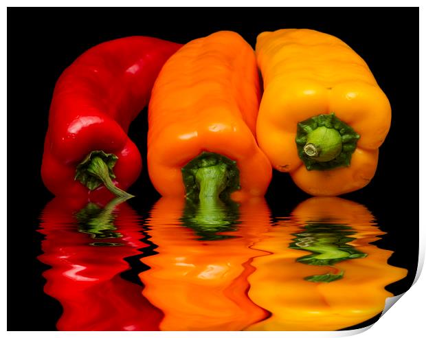 Peppers Red Yellow Orange Print by David French