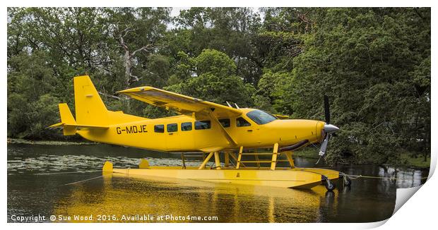 CESSNA SEAPLANE YELLOW Print by Sue Wood