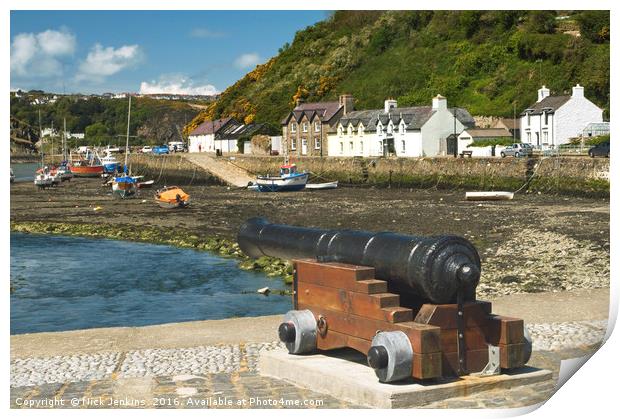 The Canon at Abergwaun in  north Pembrokeshire  Print by Nick Jenkins