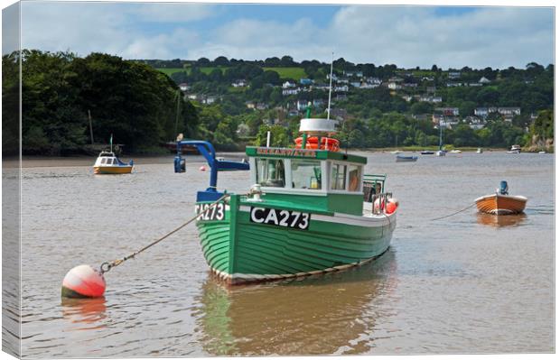 Green Fishing Boat on the River Teifi at Cardigan Canvas Print by Nick Jenkins