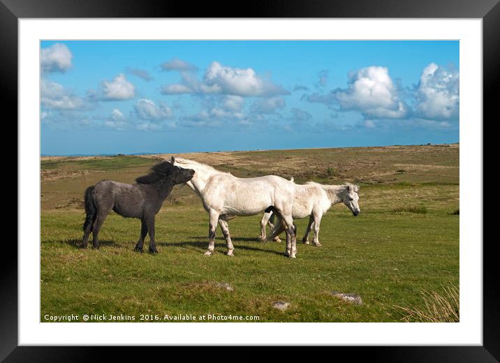 Ponies on Dartmoor at Combestone Tor Framed Mounted Print by Nick Jenkins