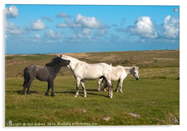 Ponies on Dartmoor at Combestone Tor Acrylic by Nick Jenkins