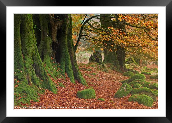 Beech Trees at Burrator Reservoir Dartmoor Framed Mounted Print by Nick Jenkins